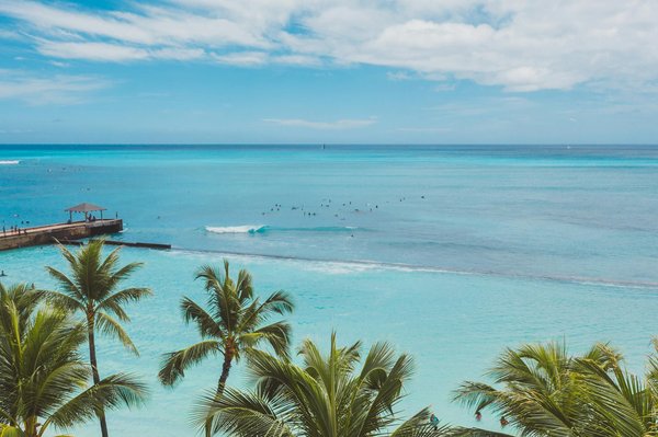 Comment choisir des activités respectueuses de l'environnement pendant vos vacances ?