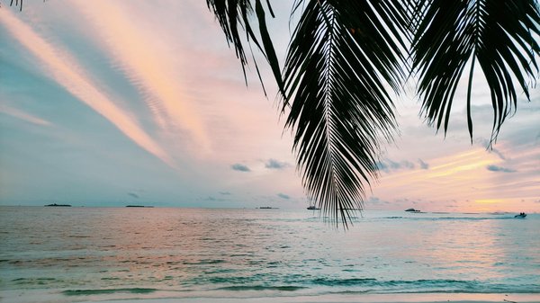 Comment tirer le meilleur parti des rencontres avec des locaux lors de vos voyages ?